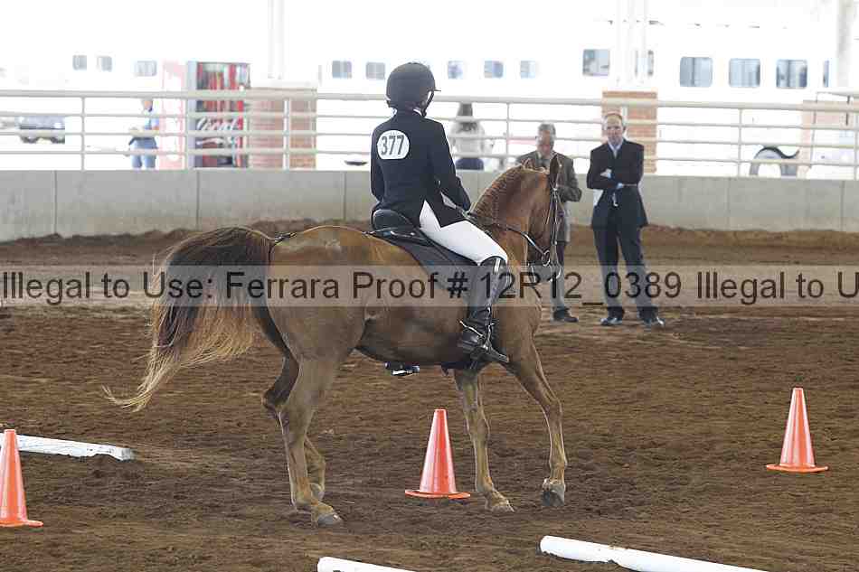 Proof Number 12r12_0389