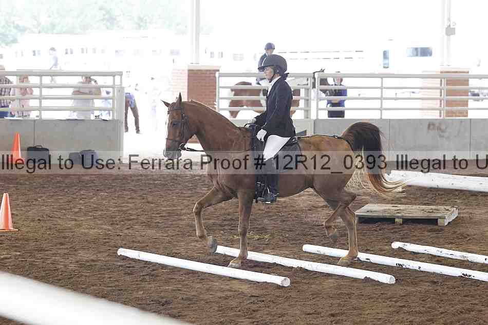 Proof Number 12r12_0393