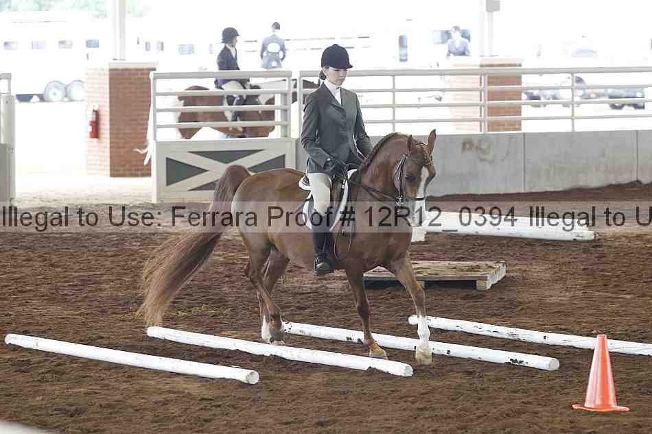 Proof Number 12r12_0394