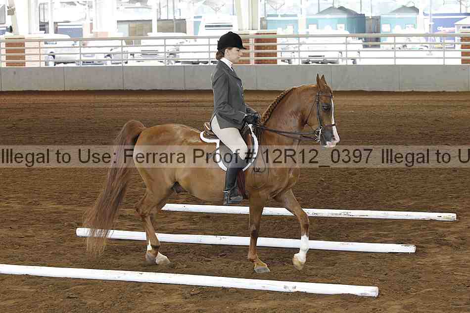 Proof Number 12r12_0397