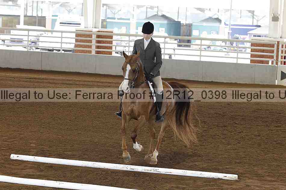 Proof Number 12r12_0398