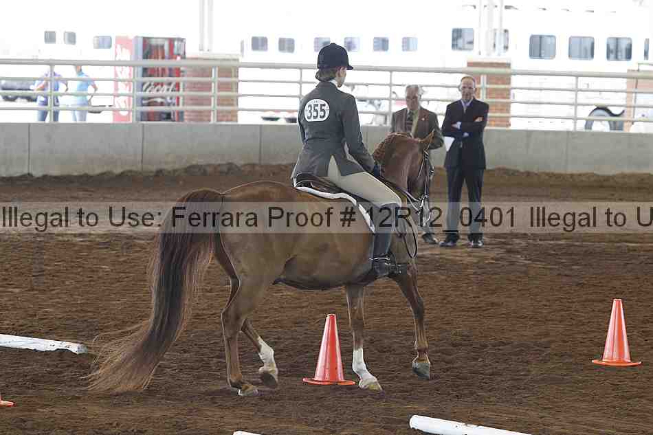 Proof Number 12r12_0401