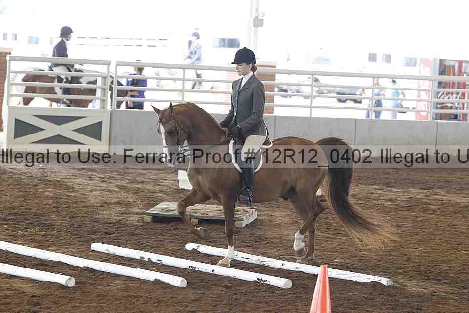 Proof Number 12r12_0402
