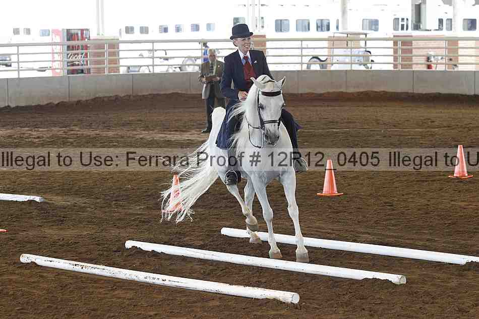Proof Number 12r12_0405