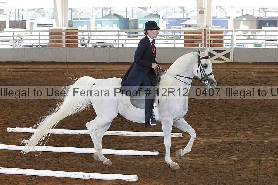 Proof Number 12r12_0407