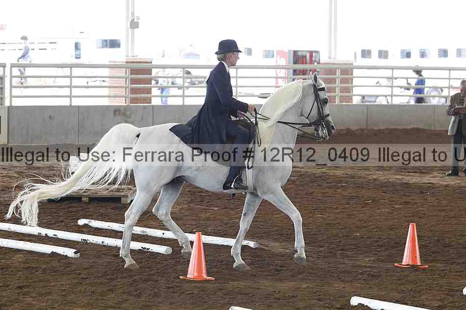 Proof Number 12r12_0409