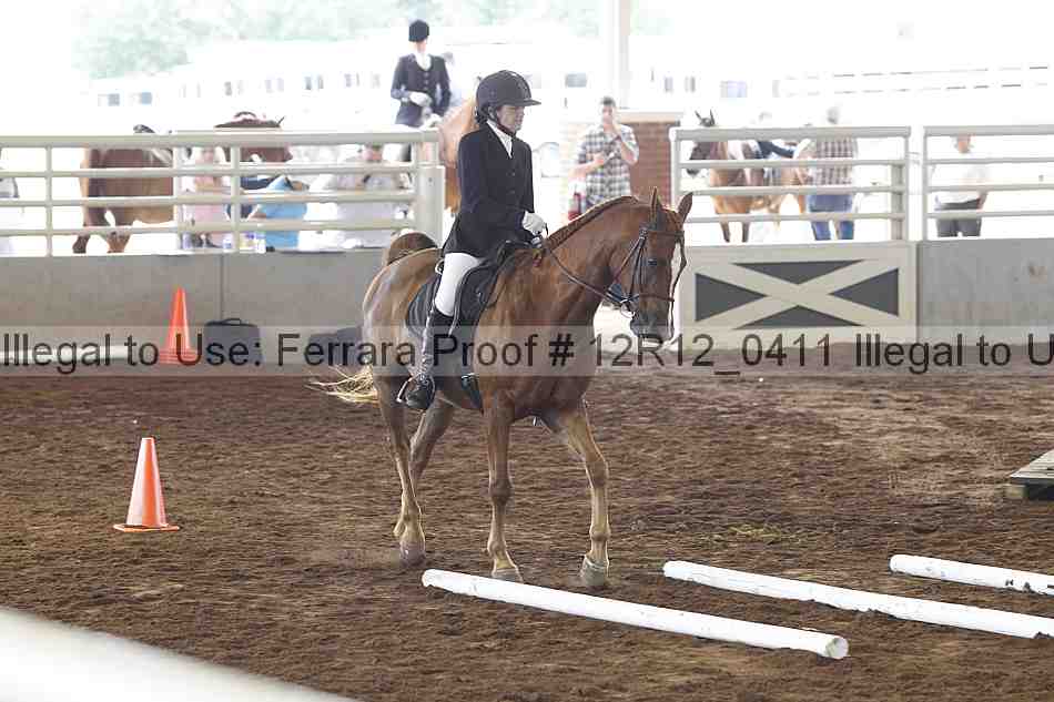 Proof Number 12r12_0411