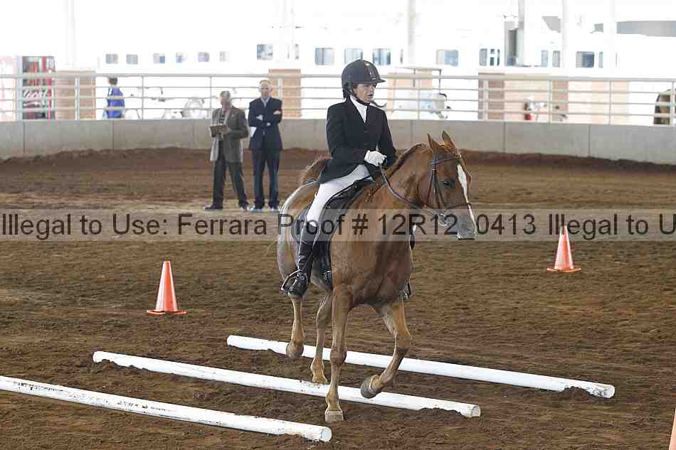 Proof Number 12r12_0413