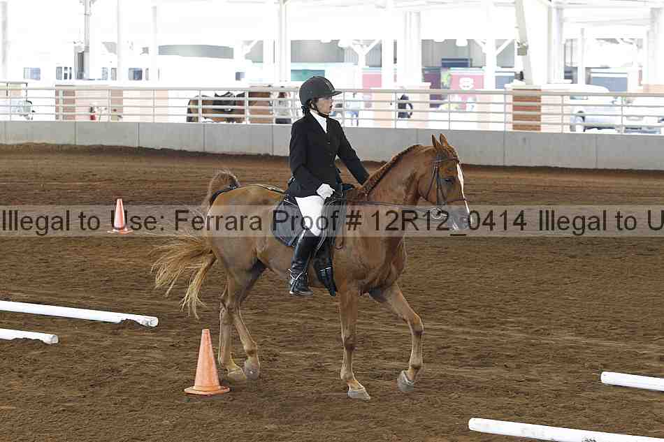 Proof Number 12r12_0414