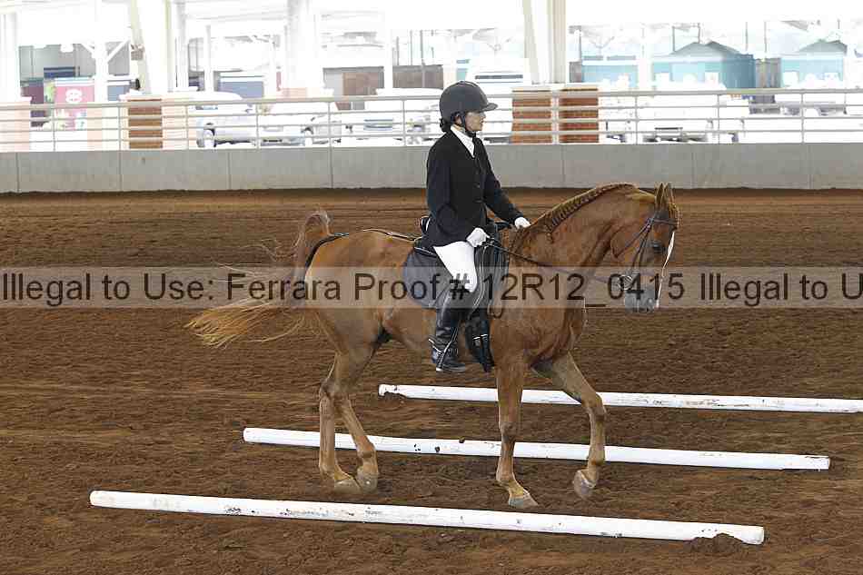 Proof Number 12r12_0415