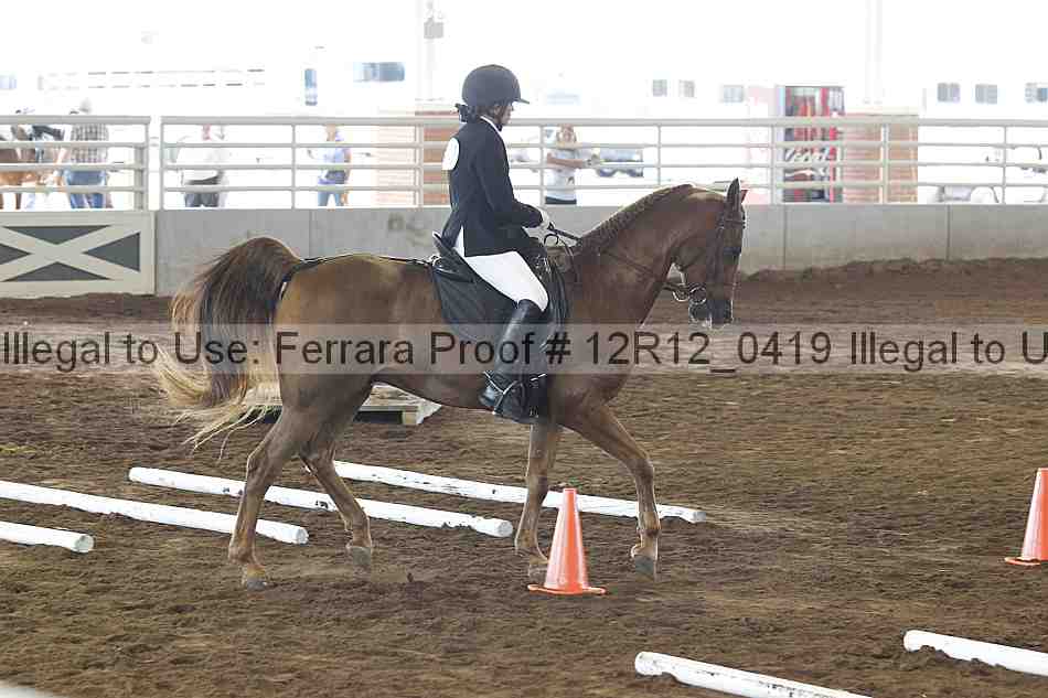 Proof Number 12r12_0419