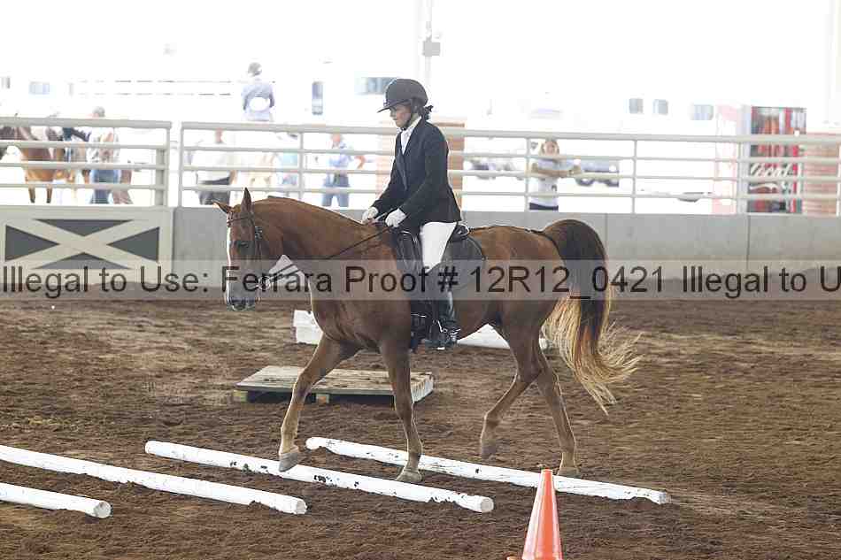 Proof Number 12r12_0421