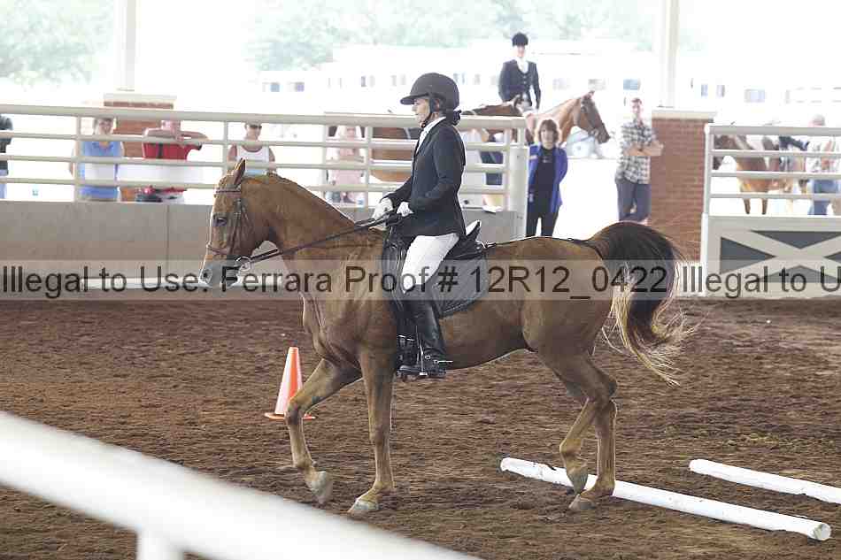 Proof Number 12r12_0422