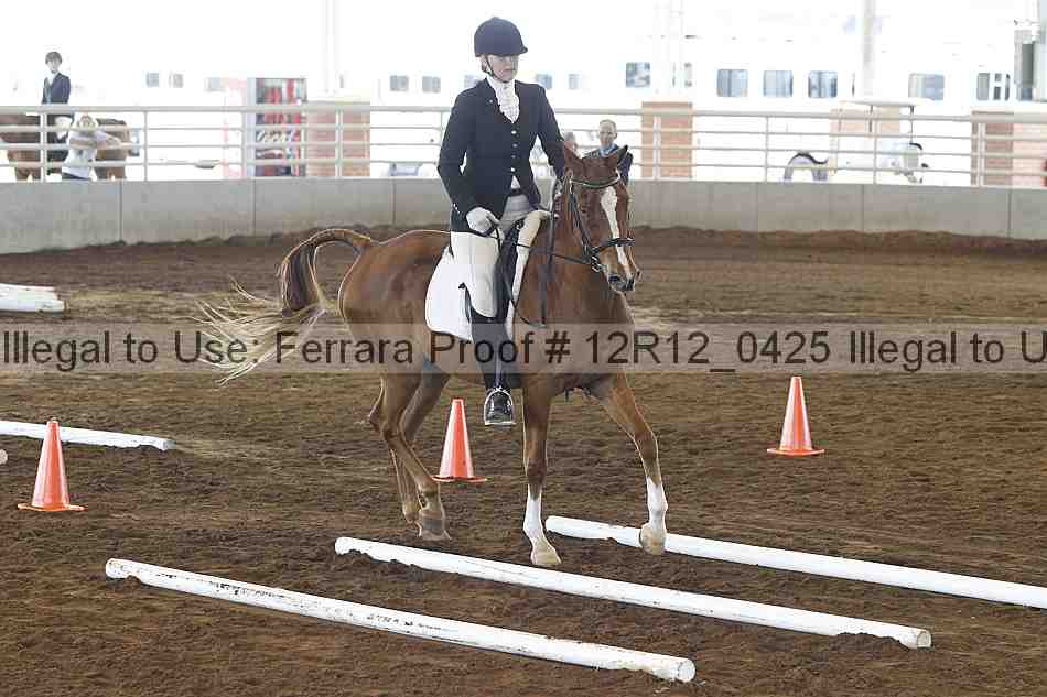 Proof Number 12r12_0425