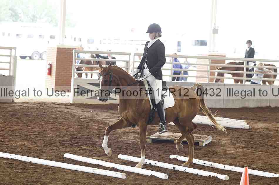Proof Number 12r12_0432