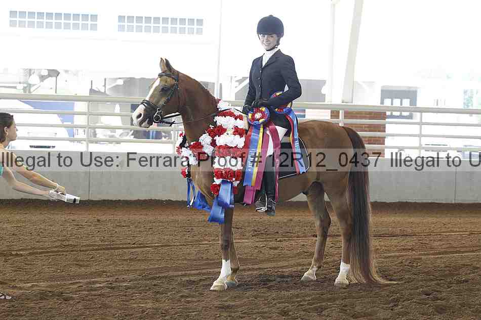 Proof Number 12r12_0437