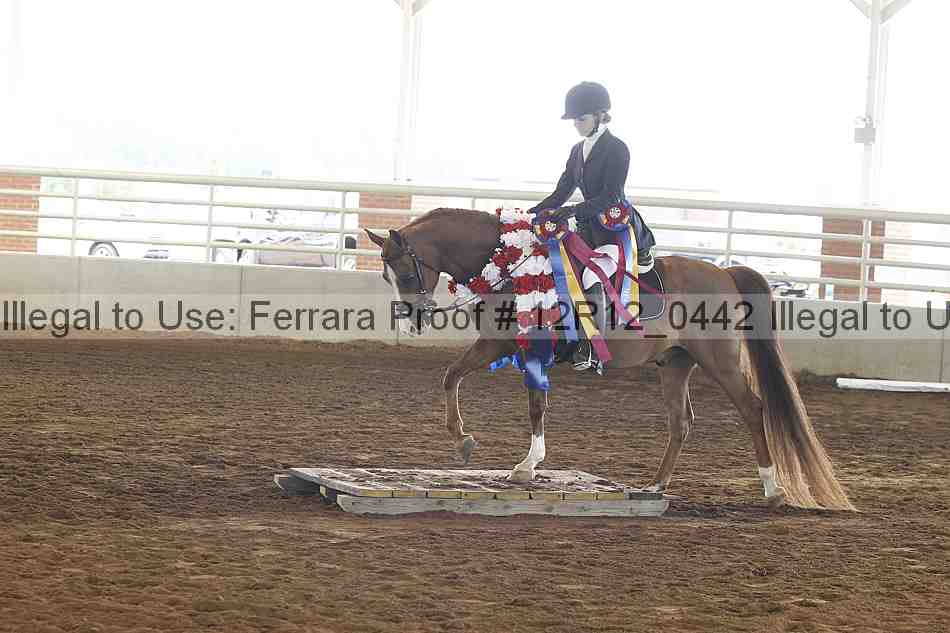 Proof Number 12r12_0442