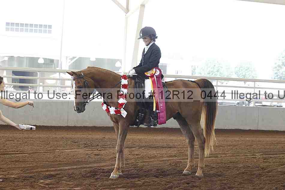 Proof Number 12r12_0444