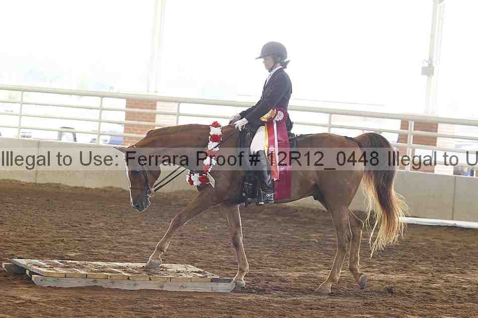 Proof Number 12r12_0448