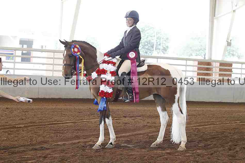 Proof Number 12r12_0453