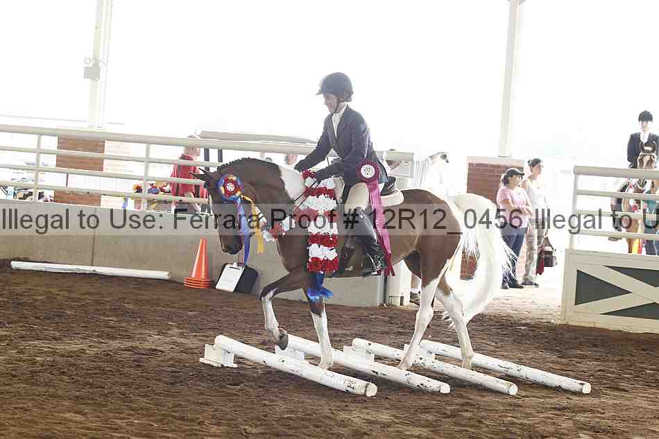 Proof Number 12r12_0456