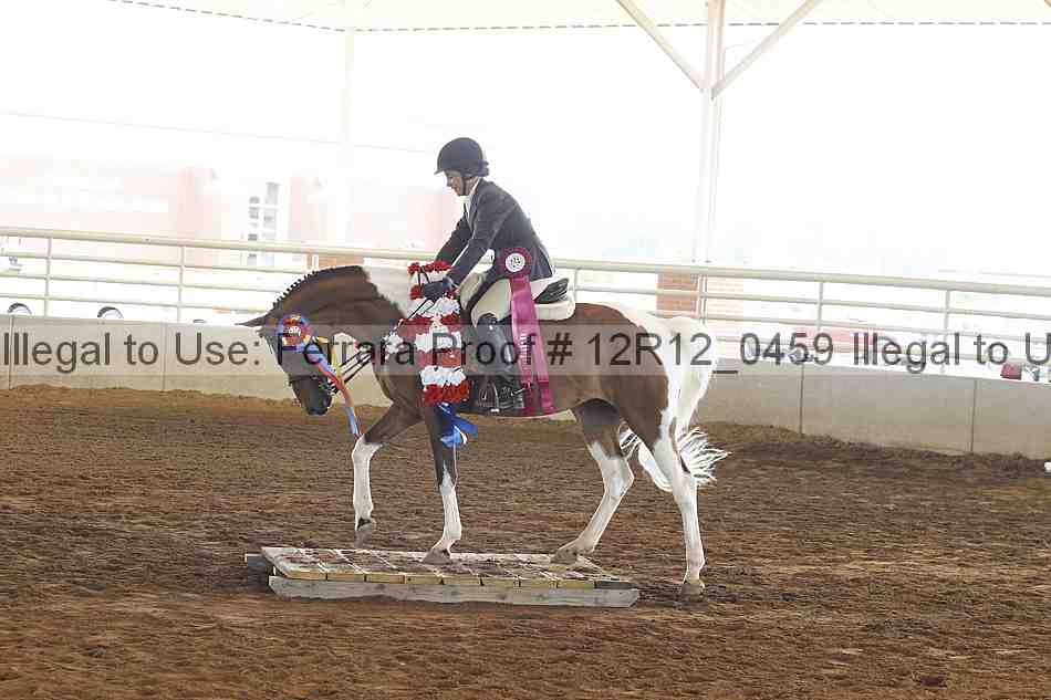 Proof Number 12r12_0459