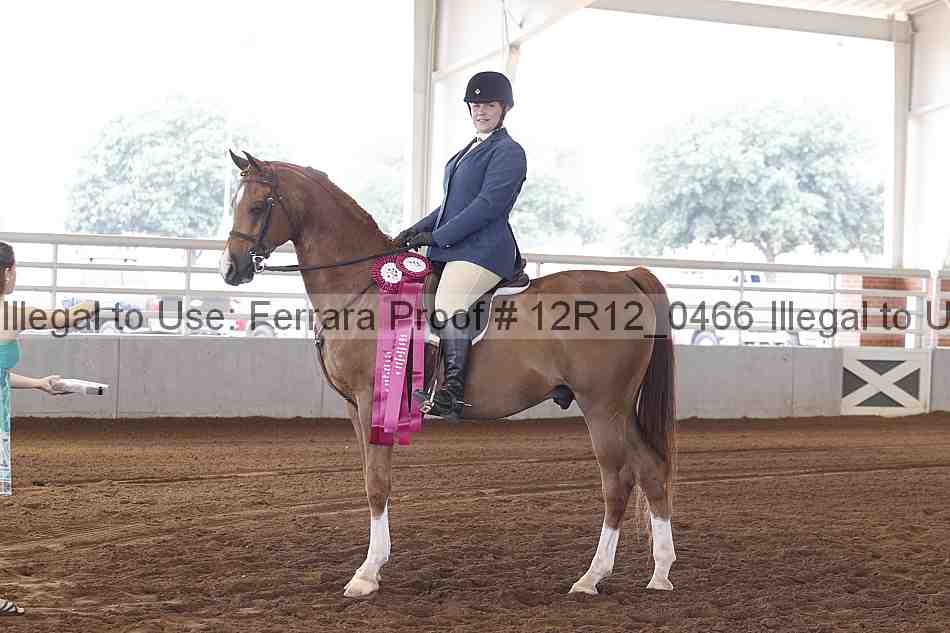 Proof Number 12r12_0466