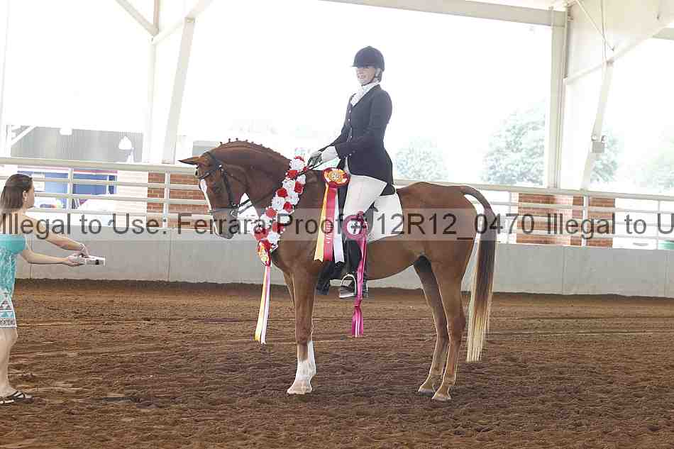 Proof Number 12r12_0470