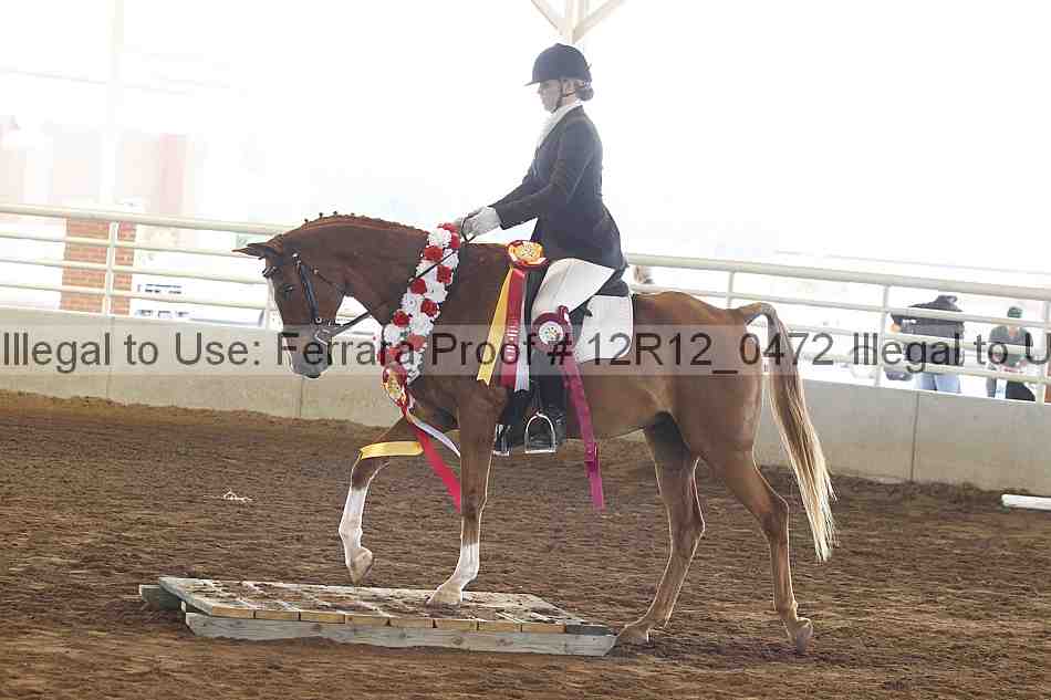 Proof Number 12r12_0472