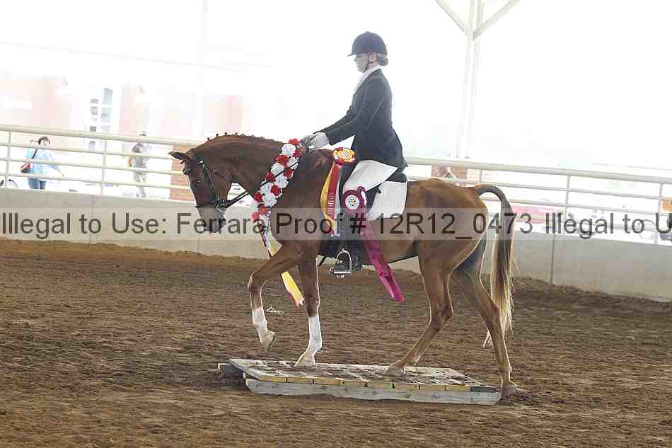 Proof Number 12r12_0473