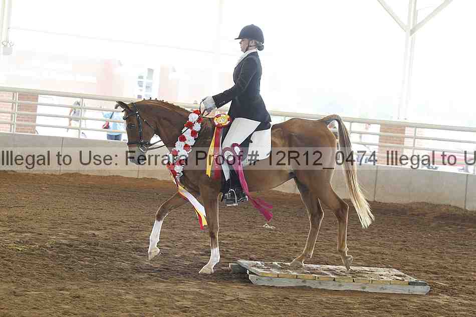 Proof Number 12r12_0474