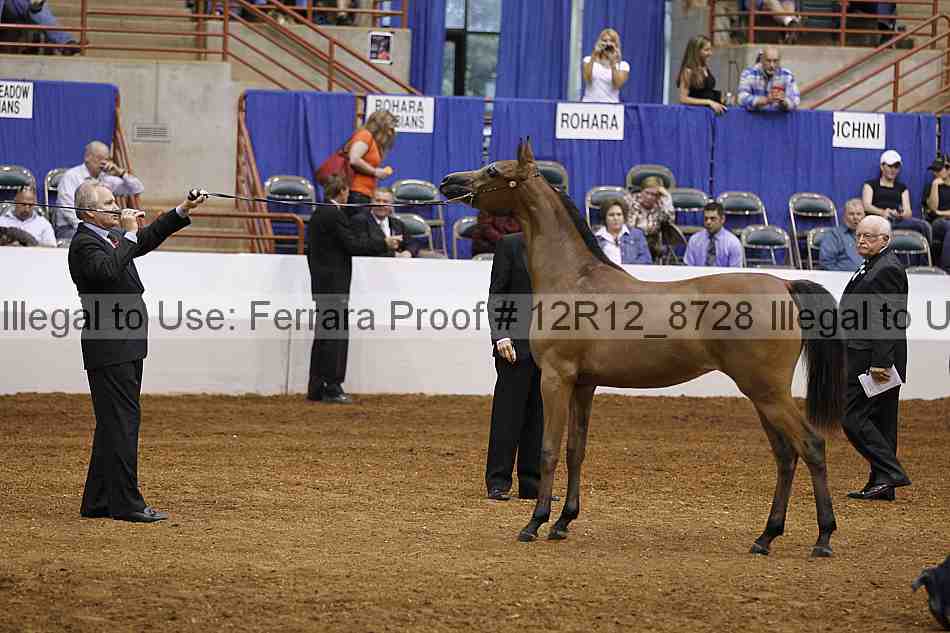 Proof Number 12r12_8728