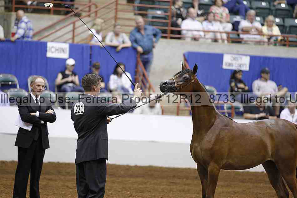 Proof Number 12r12_8733