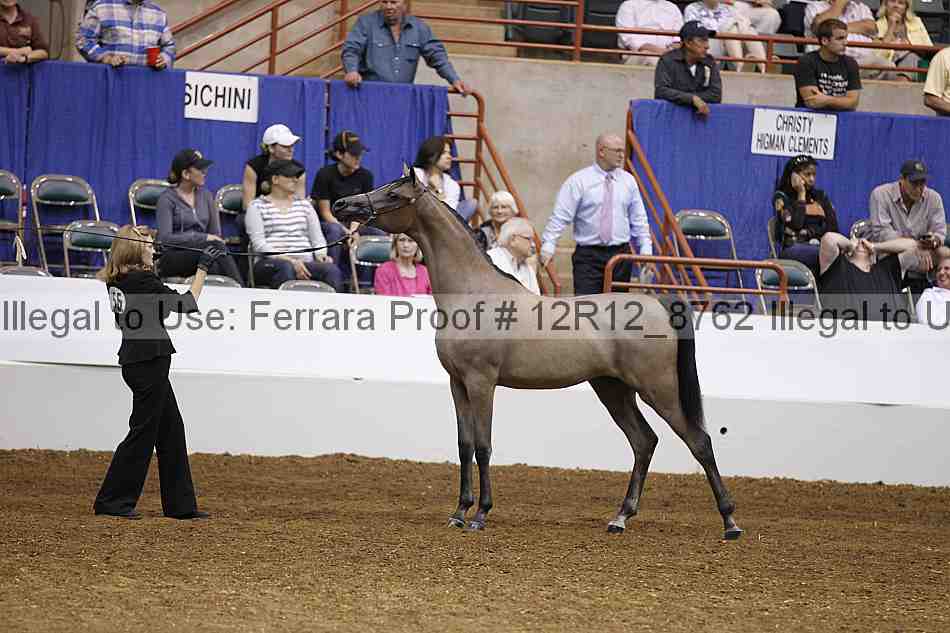 Proof Number 12r12_8762