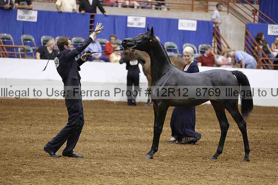 Proof Number 12r12_8769