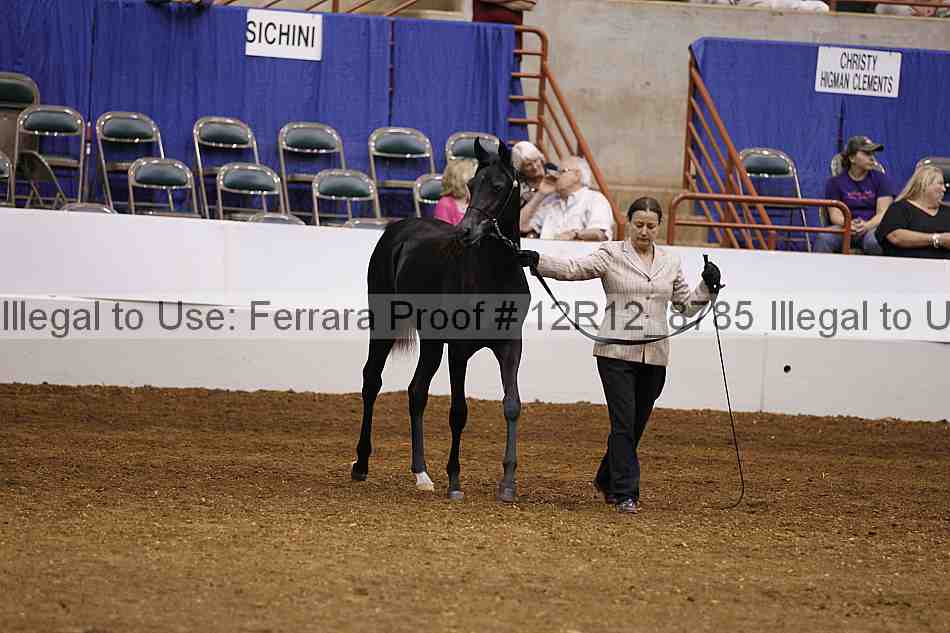 Proof Number 12r12_8785