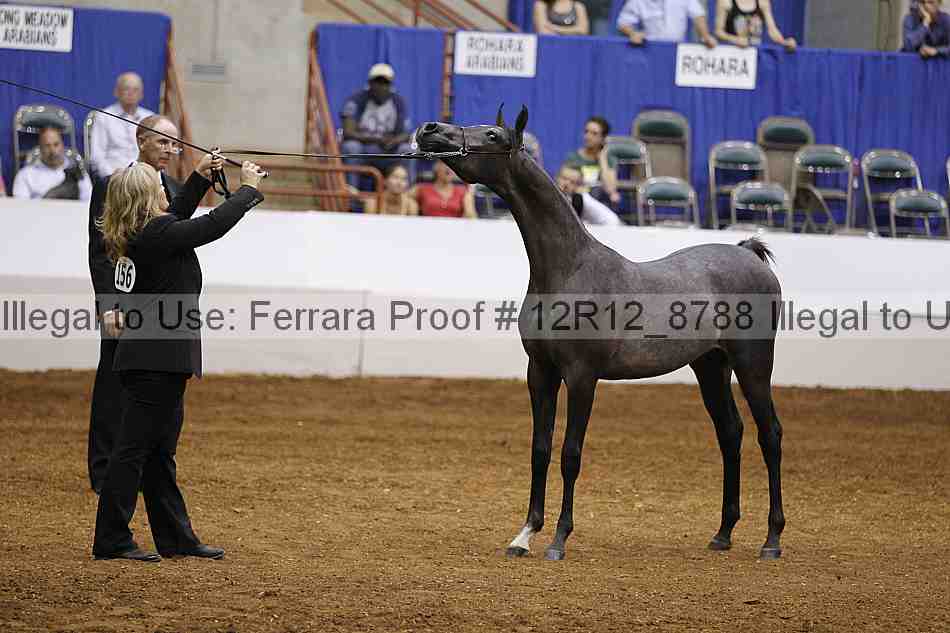Proof Number 12r12_8788