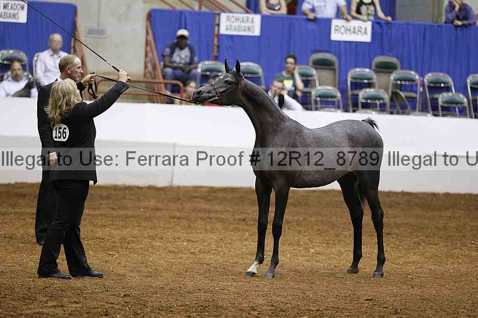 Proof Number 12r12_8789