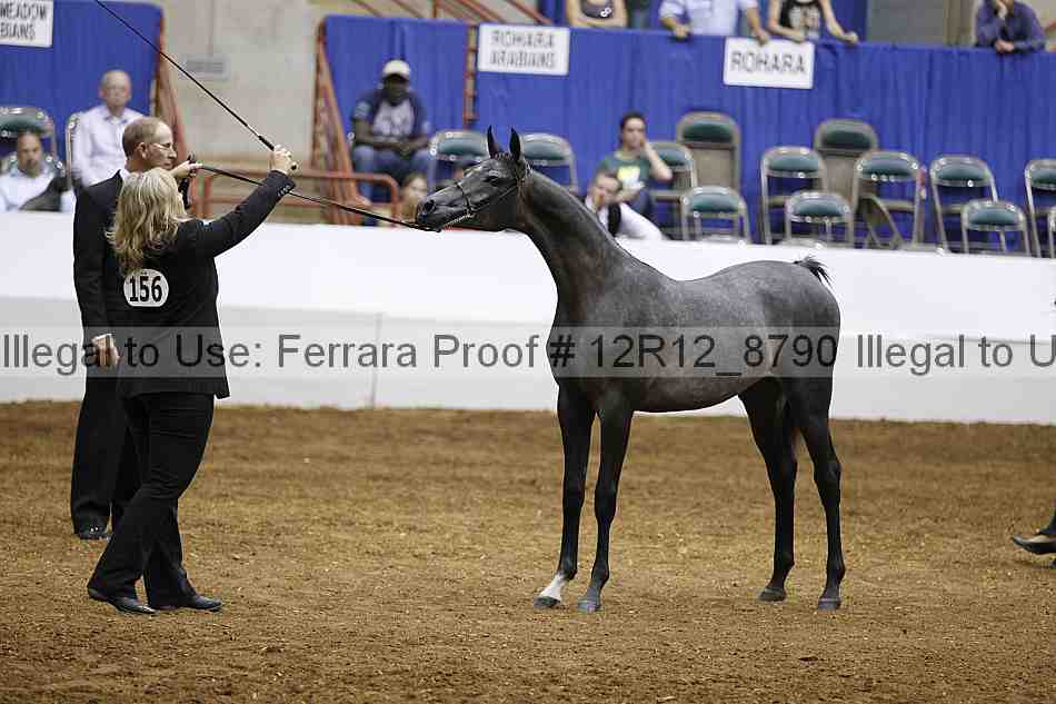 Proof Number 12r12_8790