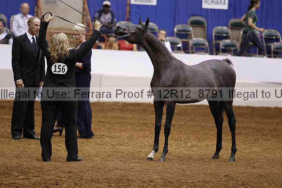 Proof Number 12r12_8791