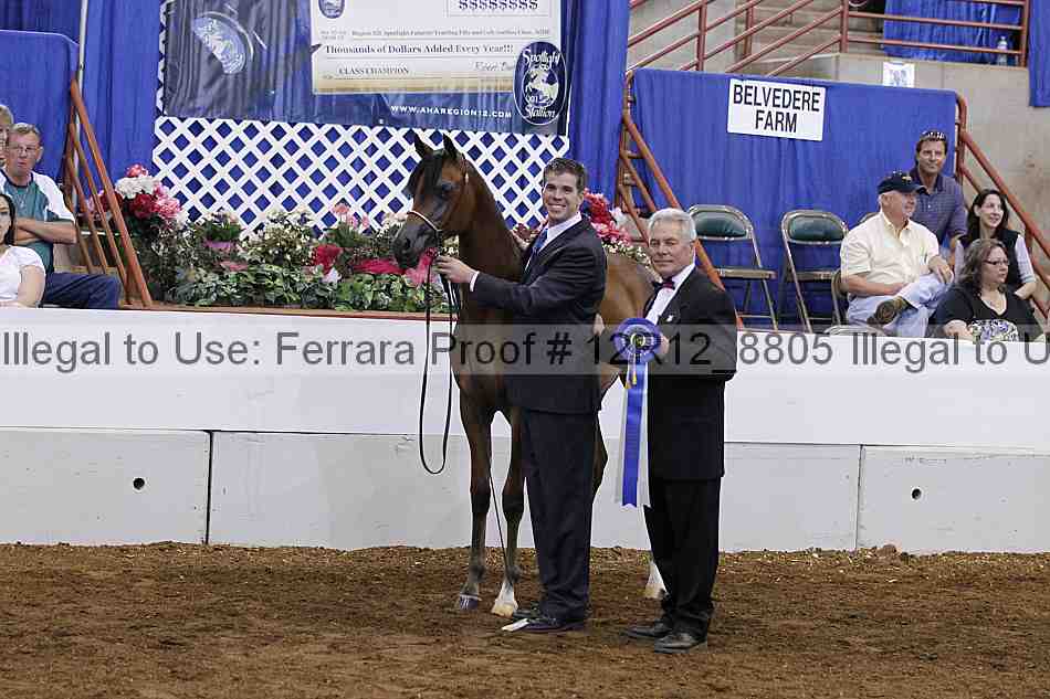 Proof Number 12r12_8805