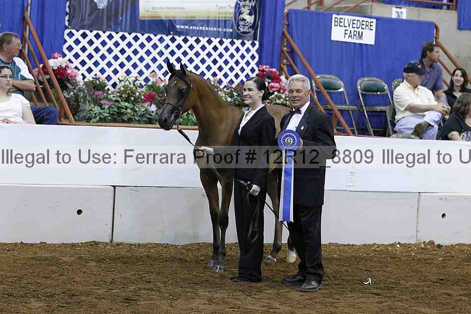 Proof Number 12r12_8809