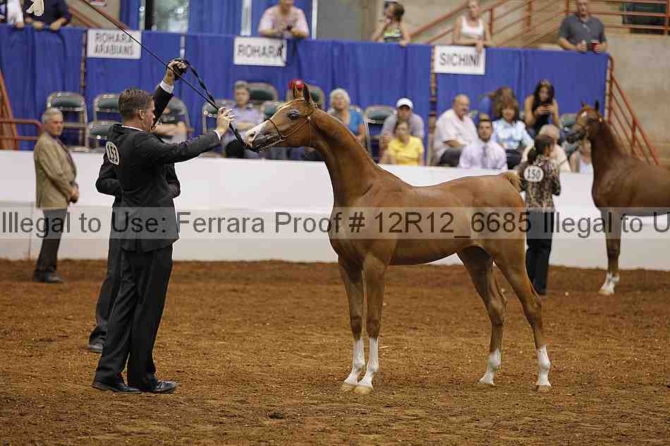 Proof Number 12r12_6685