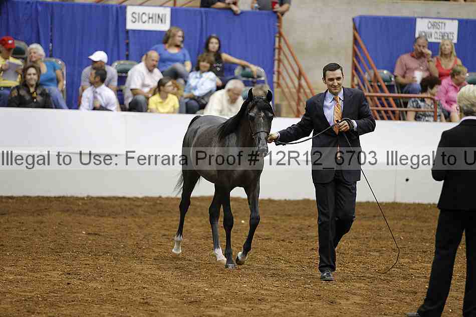 Proof Number 12r12_6703