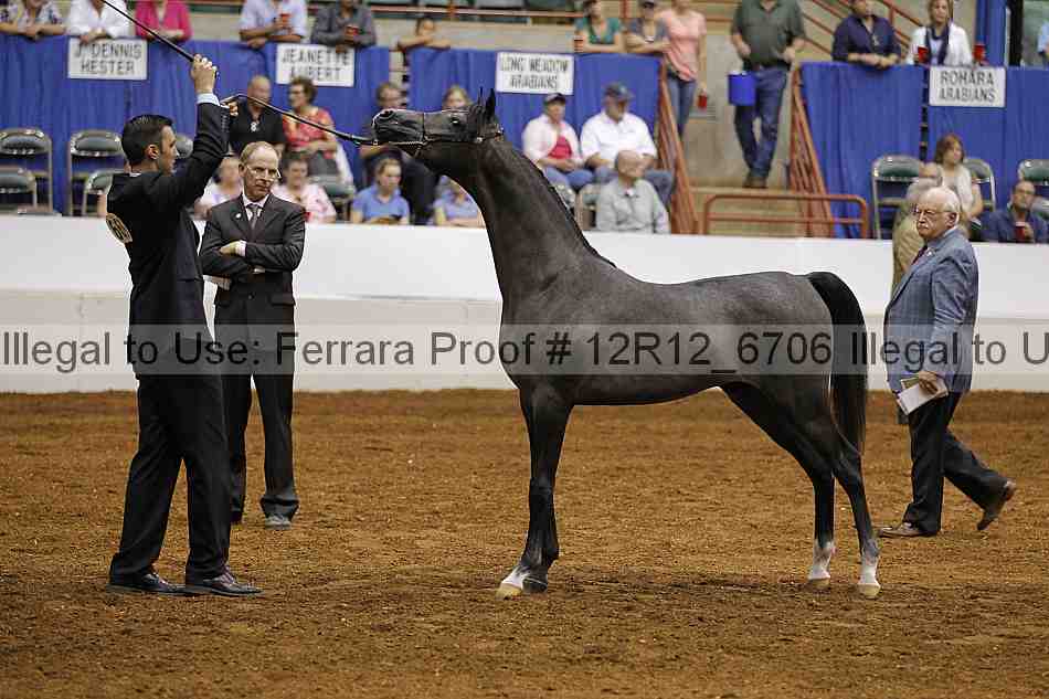 Proof Number 12r12_6706