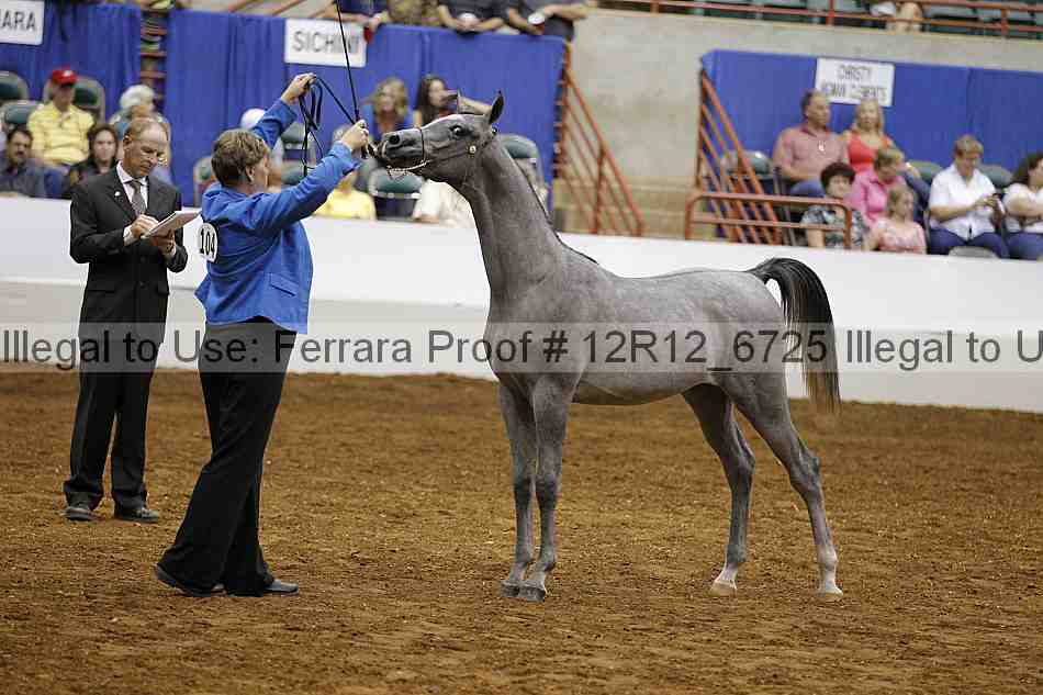 Proof Number 12r12_6725