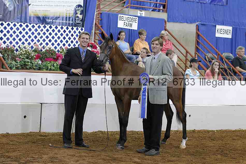 Proof Number 12r12_6733