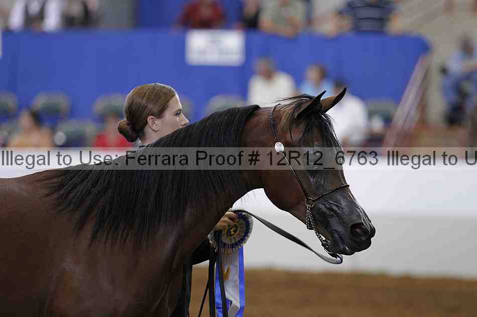 Proof Number 12r12_6763