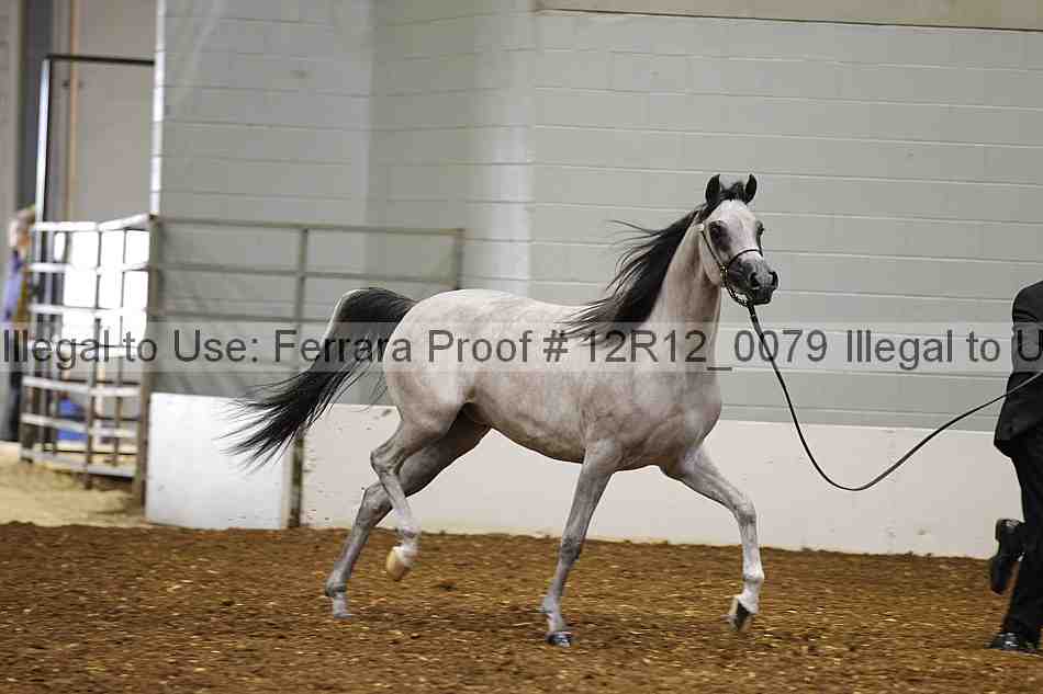 Proof Number 12r12_0079