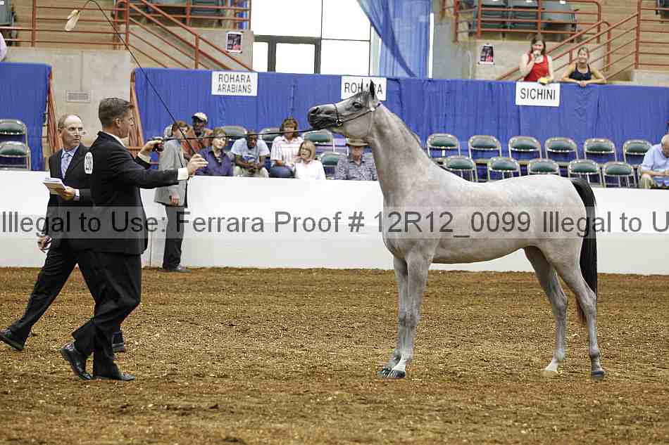 Proof Number 12r12_0099